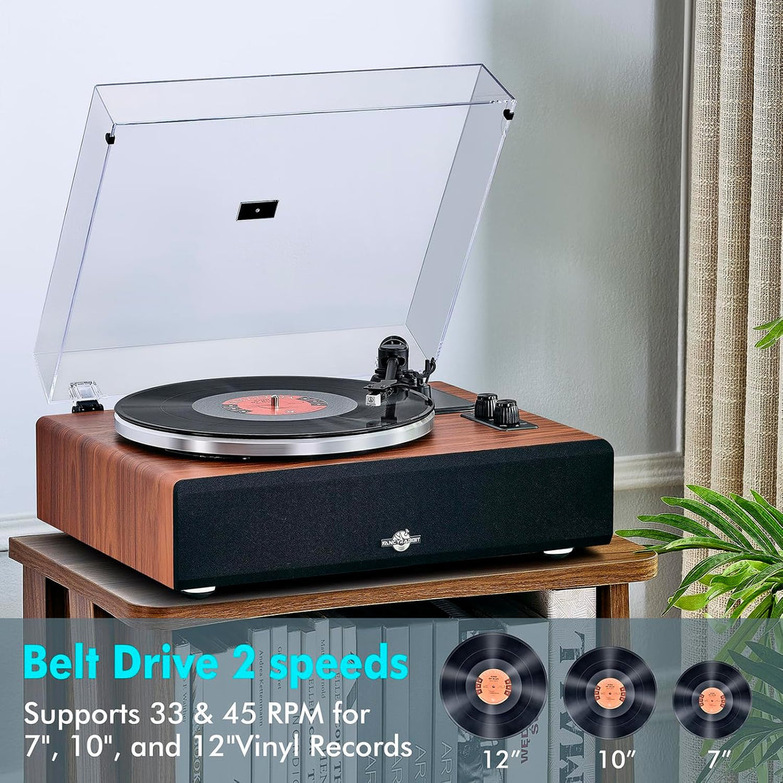 High-Fidelity Bluetooth Turntable with Speakers | AT-3600L Magnetic Cartridge | Built-in Phono Preamp | 2-Speed Belt Drive | FancyRabbit (HP-H2410)
